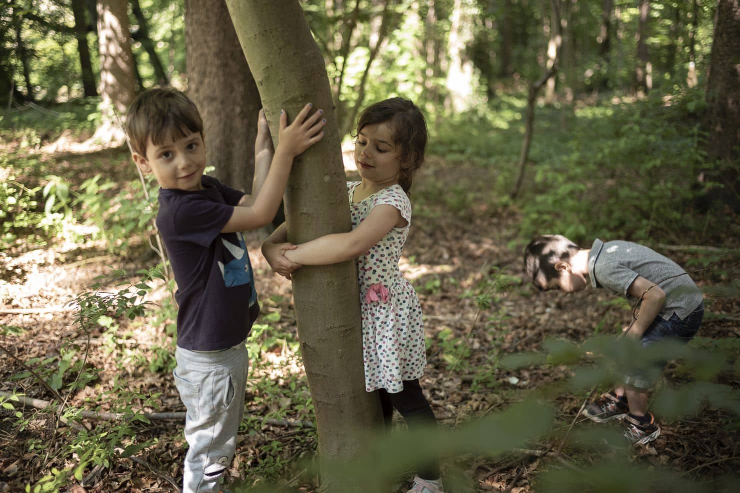 Ein Junge und ein Mädchen umarmen eine Baum im Wald während daneben ein weiterer Junge sich bückt, um etwas auf dem Boden zu betrachten.