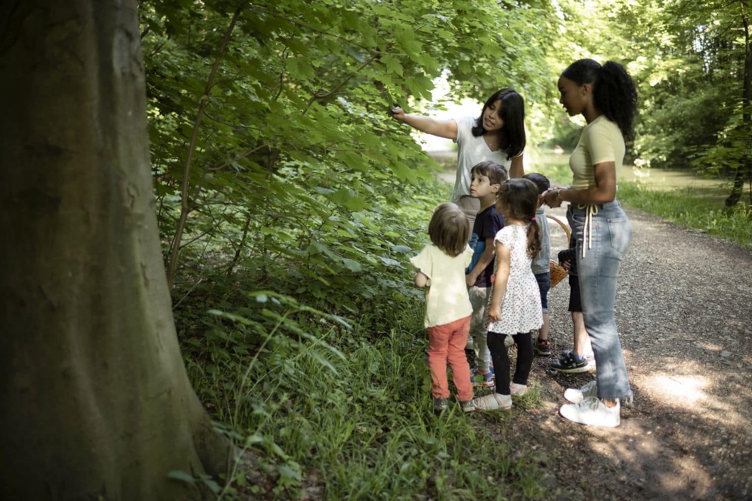 Auf einen Waldweg zeigt eine Betreuerin der Kinderkrippe miKaDo auf die Blätter eines Baumes, während eine Gruppe kleiner Kinder und eine weiterere Betreuerin sie beobachten.